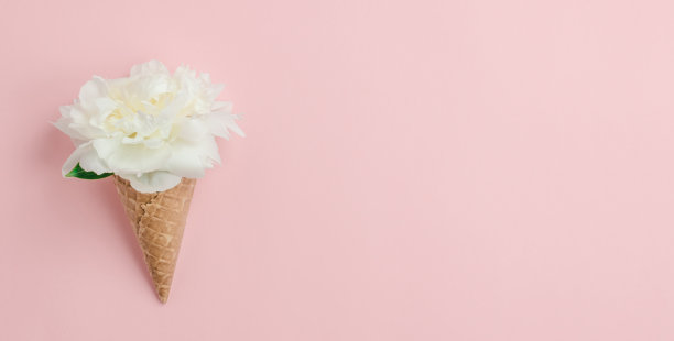 白色的牡丹花在华夫饼杯冰淇淋在粉红色的背景，旗帜。春夏概念，极简主义。本空间图片下载