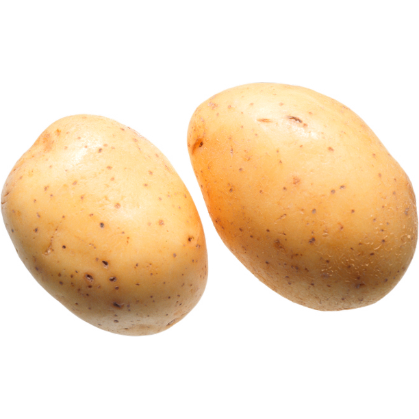 马铃薯图片下载