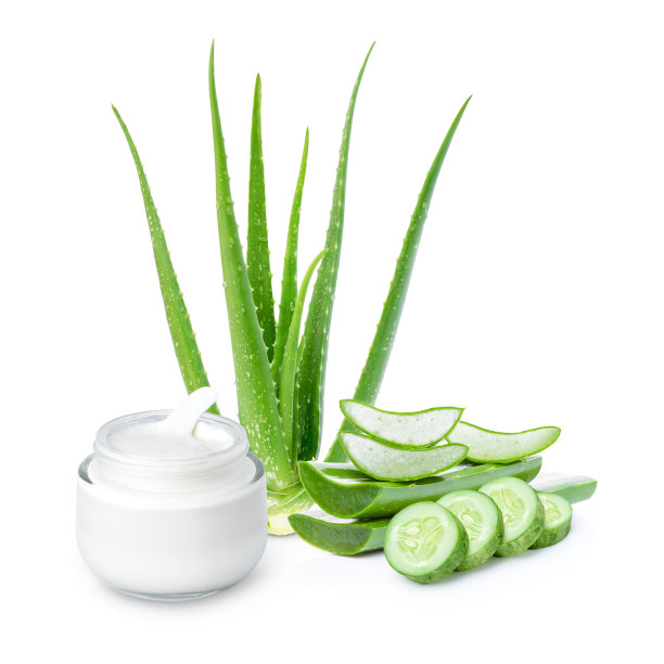 芦荟叶和黄瓜上分离白图片下载