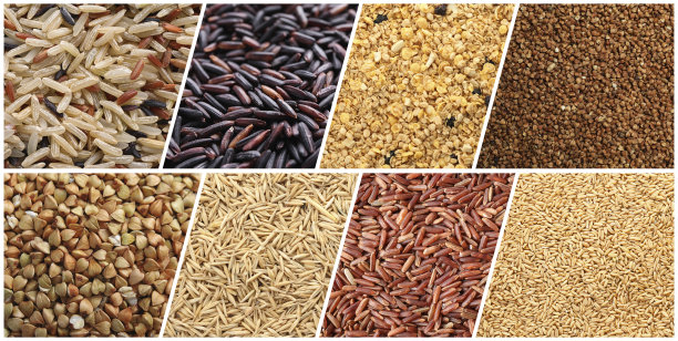 收集不同的谷物和谷物作为背景。旗帜设计图片下载