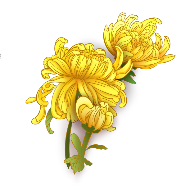 手绘金色菊花纪念素材图片