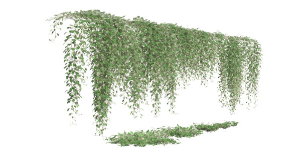 攀缘植物爬行者隔离在白色背景3d插图图片下载