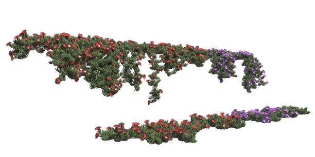 攀缘植物爬行者隔离在白色背景3d插图图片下载