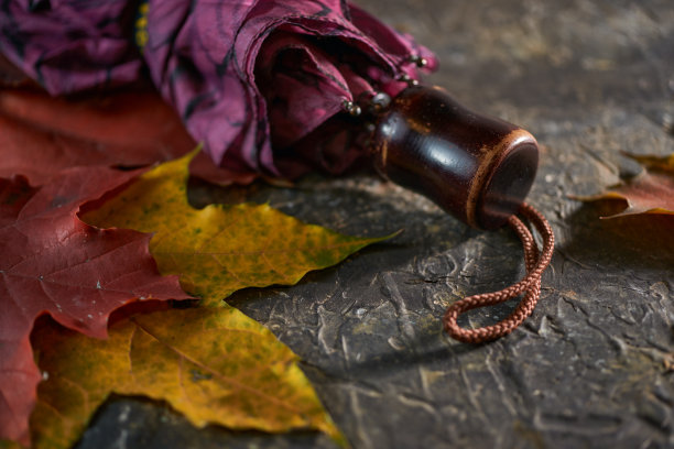雨打着伞静物，枫树叶落在水泥背景上图片下载