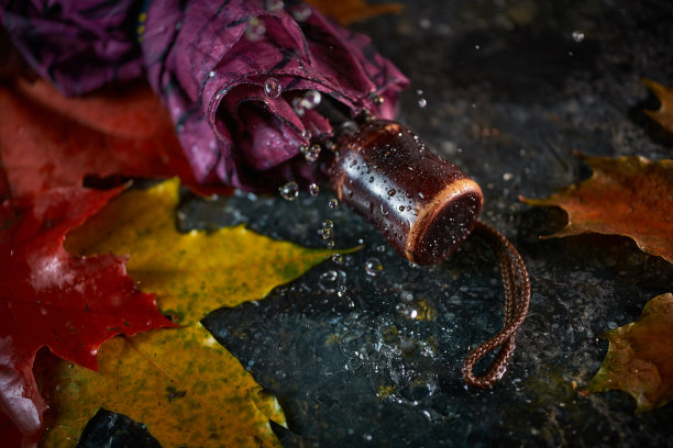 雨打着伞静物，枫树叶落在水泥背景上图片下载