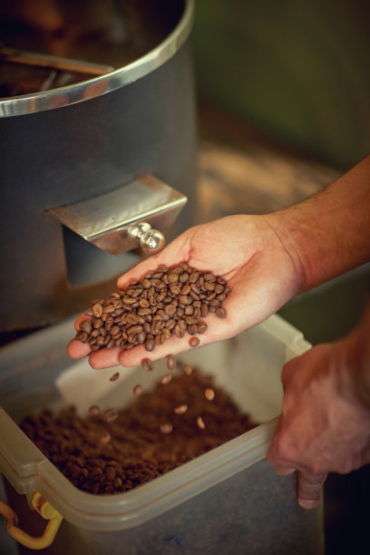 双手握着刚烤好的芳香的咖啡豆，放在咖啡烘焙机上。近距离图片下载