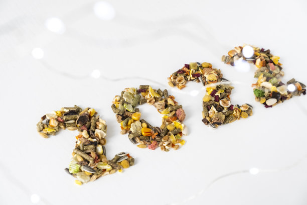 2022啮齿动物食品图片下载