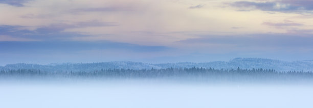 雾蒙蒙的冬季全景与冰雪覆盖的森林树木图片下载