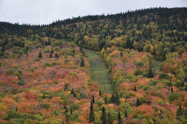 南部地块图片下载