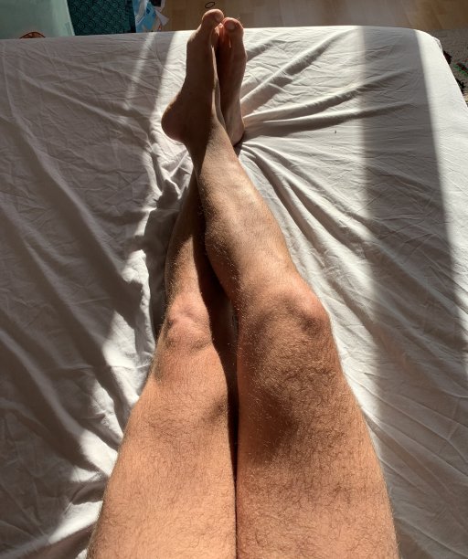 沐浴在清晨的阳光下。图片下载