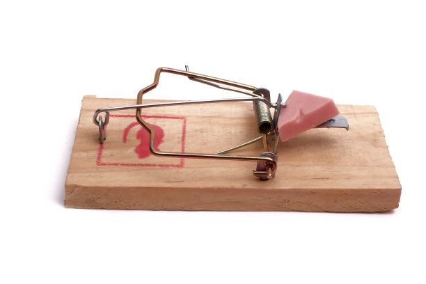 一块香肠放在一个捕鼠器上，孤立地放在白色背景上图片下载