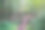 森林里一条小河上的一座桥。图片下载