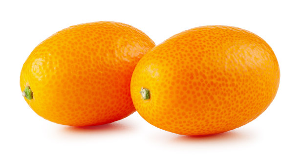 金橘被隔离在白色背景上图片下载