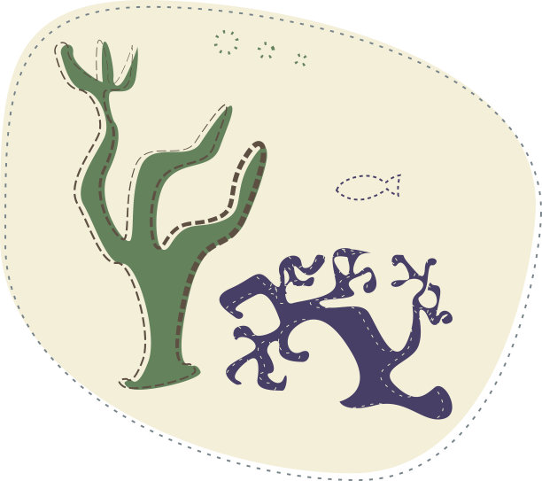 不同的珊瑚礁海洋底部的珊瑚图片下载