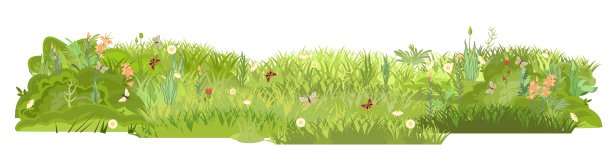 长满鲜花的夏季茂密草地。蝴蝶。绿油油的草坪，绿油油的灌木丛。草地面积。操场。的地方。美丽的风景。孤立在白色背景上。平的风格。卡通设计。向量图片下载