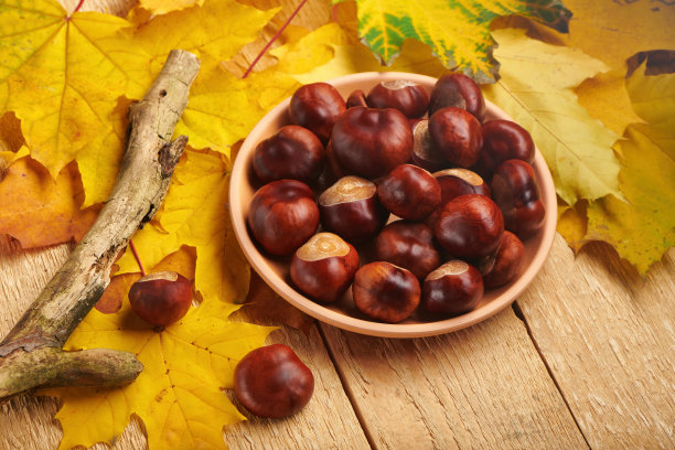 碗里放着马蹄，木桌上放着枫树黄叶。图片下载