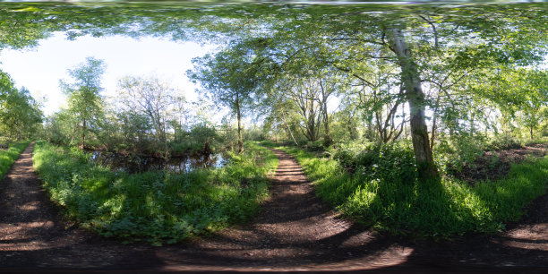 在诺福克乡村的三位一体布罗德小路的360全景照片图片下载