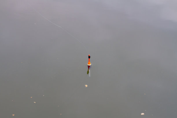 红色浮在水面上垂钓图片下载