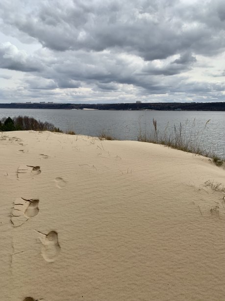沙滩上的脚印图片下载