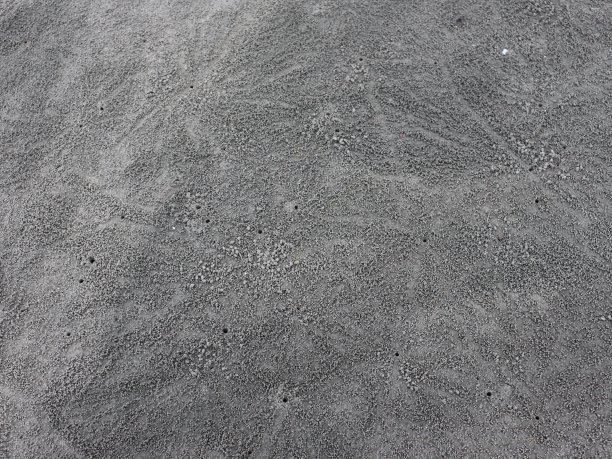 小沙球图片下载