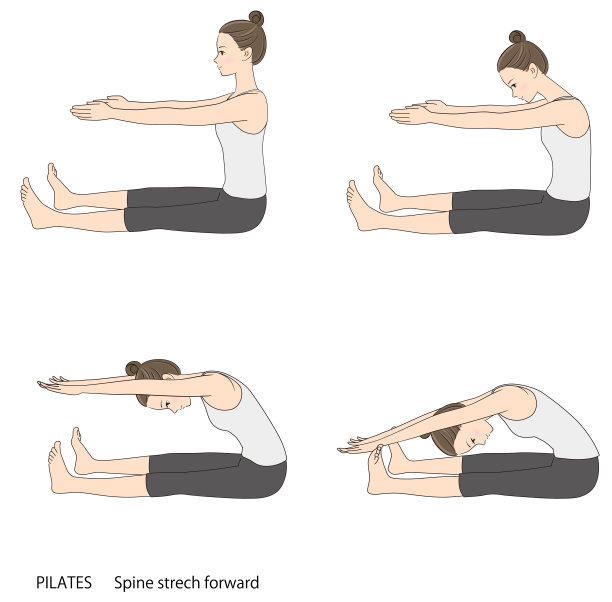 普拉提动作，脊柱向前伸展图片下载