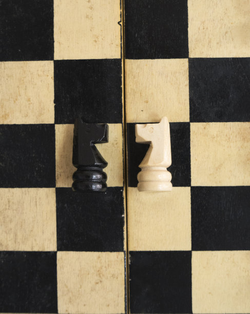 一个人在木板上排列白色的棋子。Brain-developing游戏图片下载