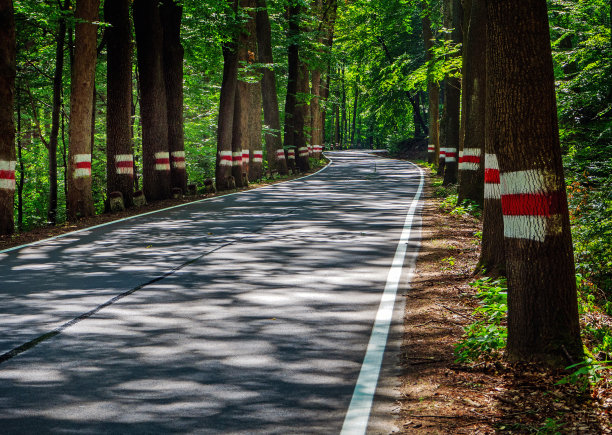 波兰斯托洛维山百弯道图片下载