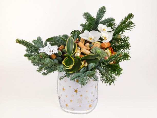 圣诞构图由松枝、葡萄酒瓶塞、苹果片和兰花组成图片下载