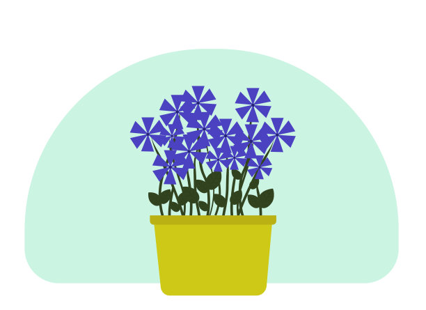 花盆里的家庭植物。绿色的叶子和鲜艳的花朵图片下载