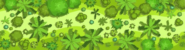 丛林森林俯视图。水平无缝合成。杂草丛生的雨林。景观。卡通风格的平面设计。说明向量图片下载