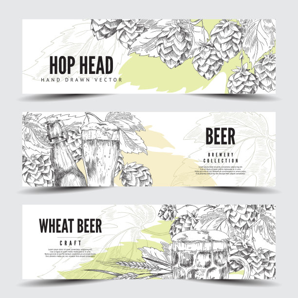 套水平横幅或标签与啤酒花，啤酒瓶和玻璃矢量插图在素描风格。图片下载