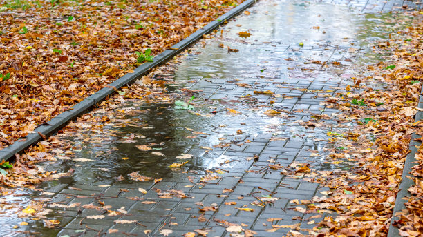 潮湿的鹅卵石小路上有水坑和秋天下雨天黄色的落叶图片下载