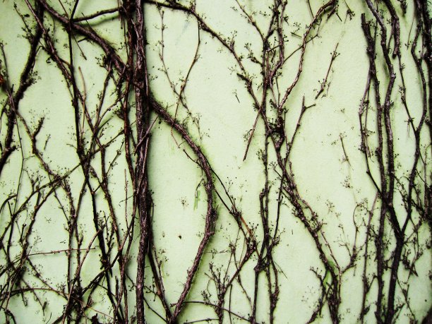 2021模式图片下载