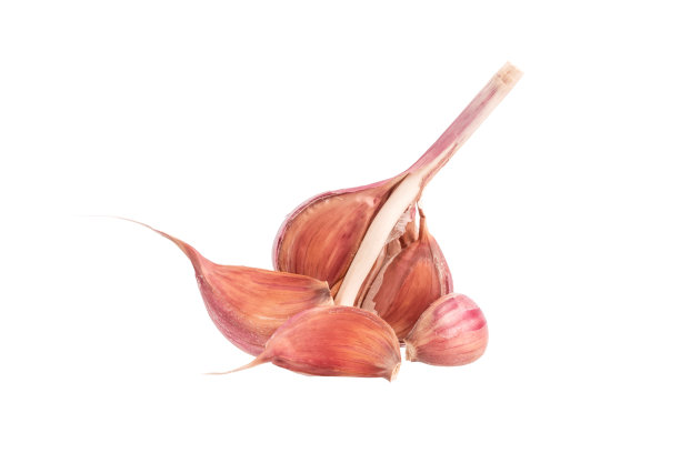 新鲜大蒜切片，放在白色的背景上图片下载