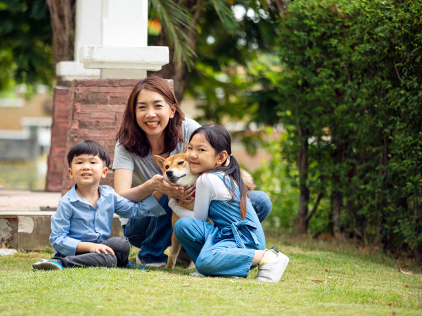 亚洲妈妈和孩子们坐在公园里和柴犬一起玩耍图片下载