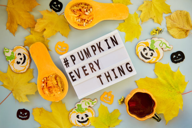 美丽的文字标签南瓜一切在秋天的装饰和食物。橙色的茶杯上有自制的饼干，新鲜的南瓜，黄色的叶子和南瓜装饰图片下载