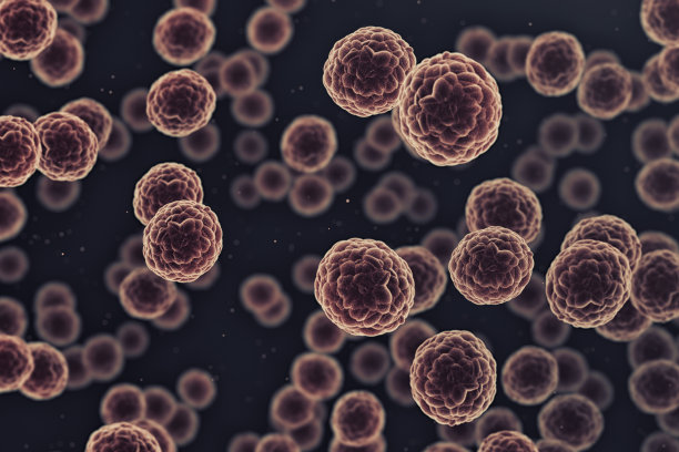 显微镜下的一组癌细胞图片下载