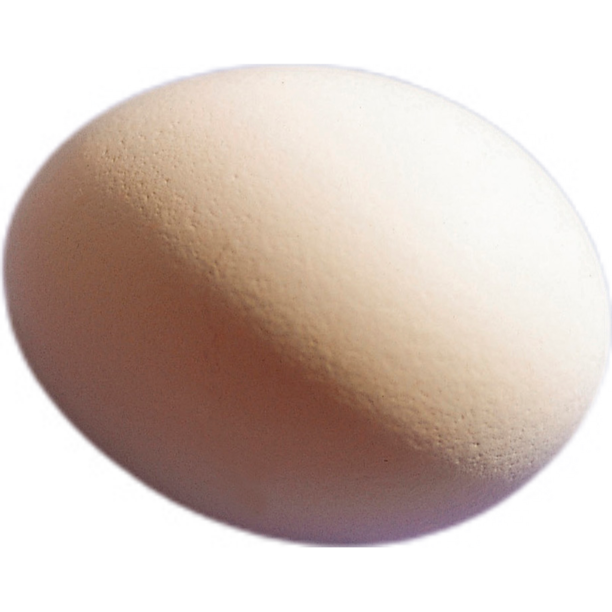 一颗鸡蛋图片下载