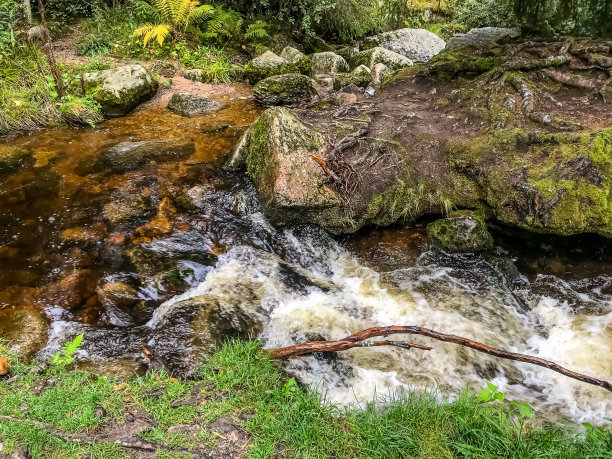 穿过德国黑森林的一条河。图片下载