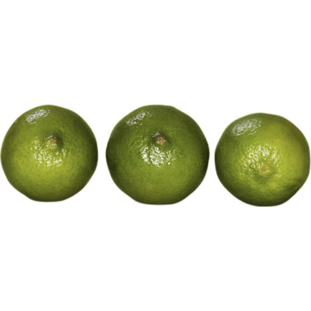 美味的橘子图片下载