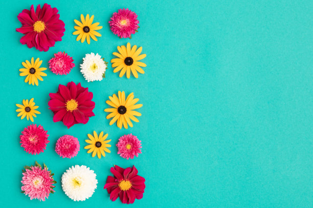 母亲节，妇女节，情人节或生日快乐。多色平铺贺卡模板与美丽的花朵。图片下载