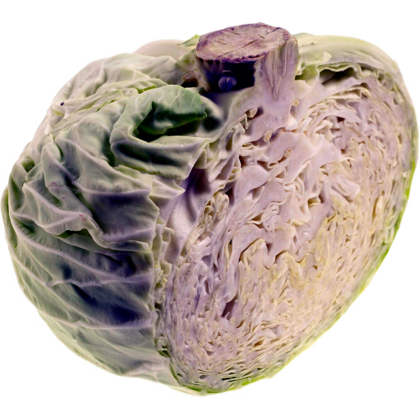 美味的包菜图片下载