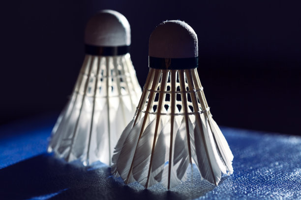 羽毛球运动图片下载