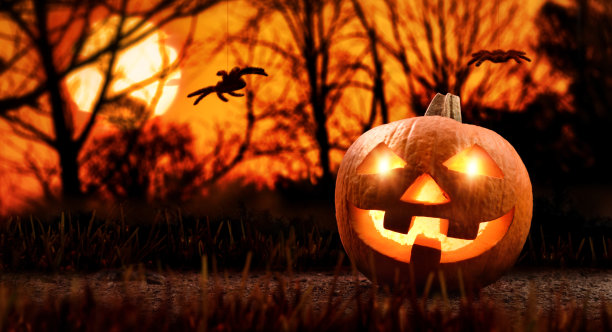 万圣节南瓜与蜘蛛在黑暗的森林黄昏图片下载