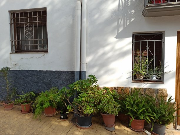 花壶在户外图片下载