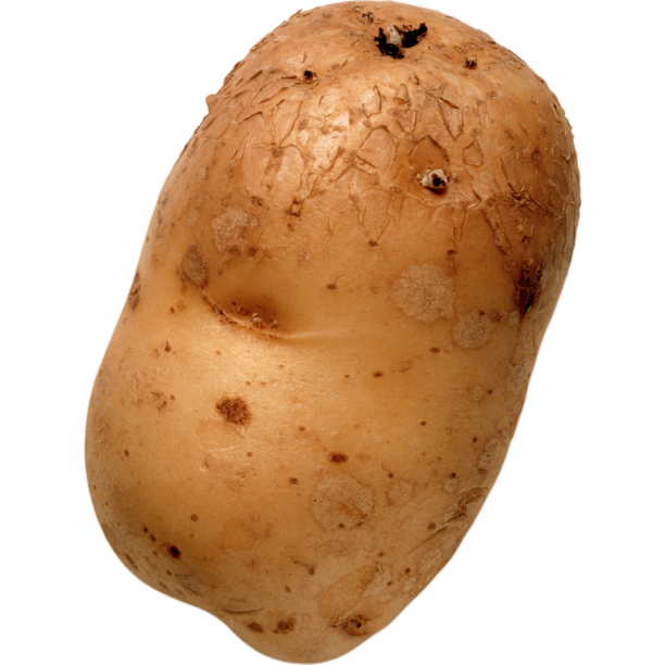 美味的土豆图片下载