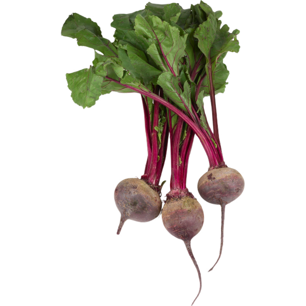 三个萝卜图片下载