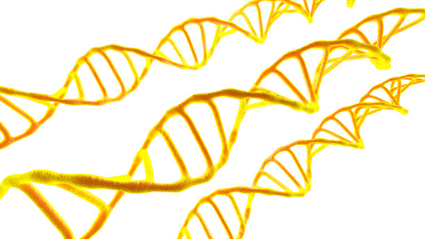 现场观察的分子DNA在一个黑色孤立的背景下。图片下载