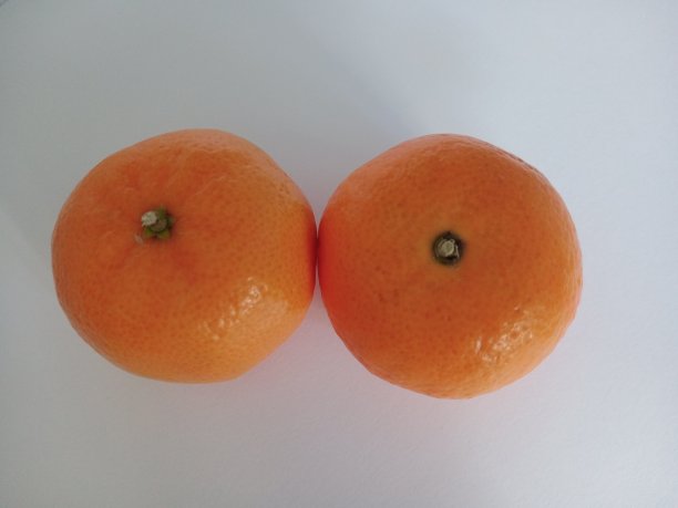 两只黄色的小橘子图片下载