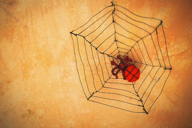 红色羊毛蜘蛛模糊的橙色墙背景图片下载